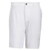 Adidas Primeblue Golf Shorts HA6130 -Golf World Sales adidas Primeblue Golf Shorts HA6130 5